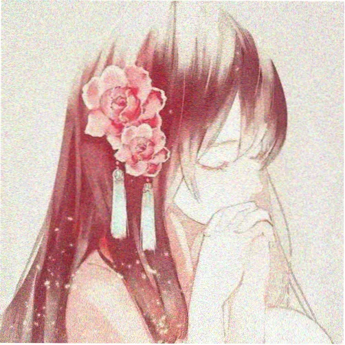 胶片收藏家的头像